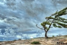 Rüzgar Nedir? Rüzgar Nasıl Oluşur? 9 Mühendistan wind 9 800x450 min Mühendistan