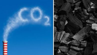 Karbondioksidi kömüre dönüştürme