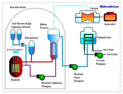 Basınçlı Su Reaktörü Şeması
