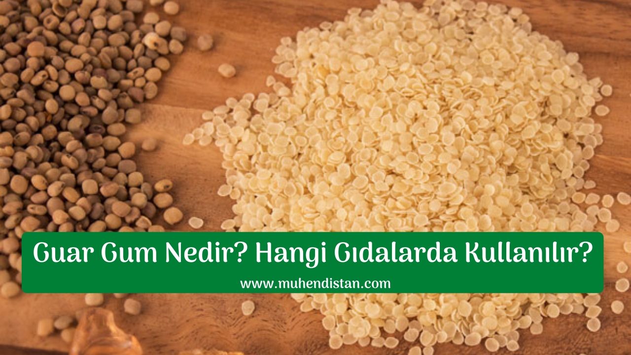 Guar Gum Nedir? Hangi Gıdaların İçerisinde Bulunur? Mühendistan