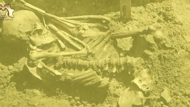 3.000 Yıllık Kemikler Şimdiye Kadar Keşfedilmiş En Eski Köpekbalığı Saldırısının Kurbanını Ortaya Çıkardı!