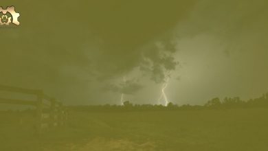 Yıkıcı Fırtınaları Önceden Tahmin Etmek Mümkün mü?
