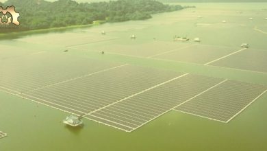 Singapur, Yüzen Güneş Enerjisi Çiftliğini Açtı!