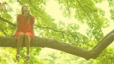Yeni Araştırma, Ağaçlar Arasında Geçirilen Zamanın Çocukların Beyinlerinin Gelişmesine Yardımcı Olabileceğini Buldu