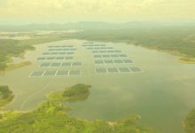 Tayland'ın En Büyük Yüzer Güneş Enerji Santrali Devreye Alındı