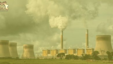 Paris Anlaşması'na Rağmen Ülkeler Fosil Yakıt Üretimini Arttırmaya Devam Ediyor