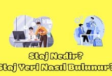 Staj Nedir? Staj Başvurusu Nasıl Yapılır? 12 Mühendistan Staj Nedir Nasıl Staj Başvurusu Yapılır