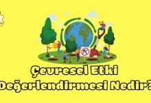 Çevresel Etki Değerlendirmesi Nedir