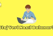 Staj Yeri Nasıl Bulunur 2023 Yılı Staj Yeri Bulma Rehberi