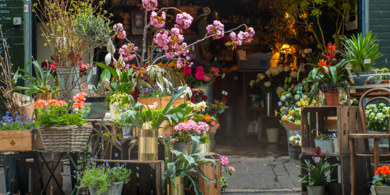 Çiçek Dükkanı İsimleri