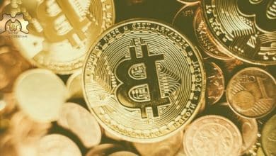 Stablecoins Die stabile Brücke zwischen Kryptowährungen und Fiatgeld