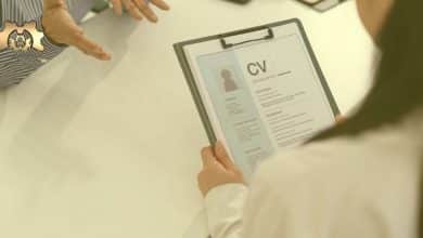 Türkiye’de Mühendisler İşe Başvurmak için Nasıl CV Hazırlamalı?